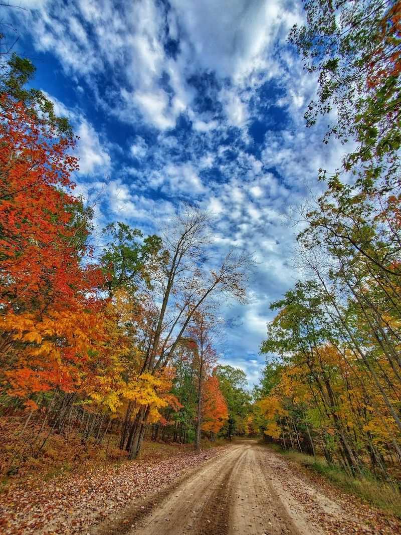 Off-Road and Motorized Adventures on Two Tracks