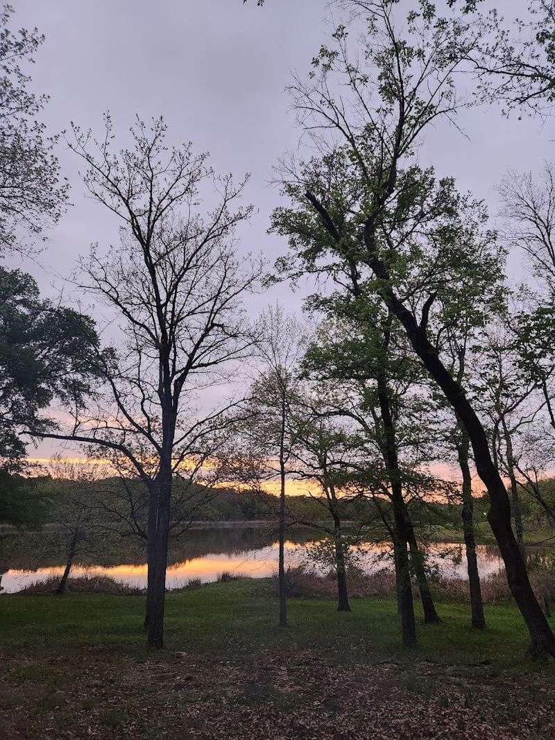 Swimming and the Designated Swim Area