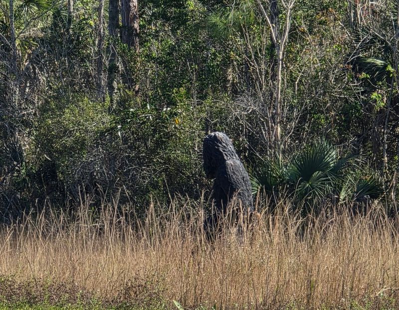Cabins, Chickee Huts, and Alternative Lodging