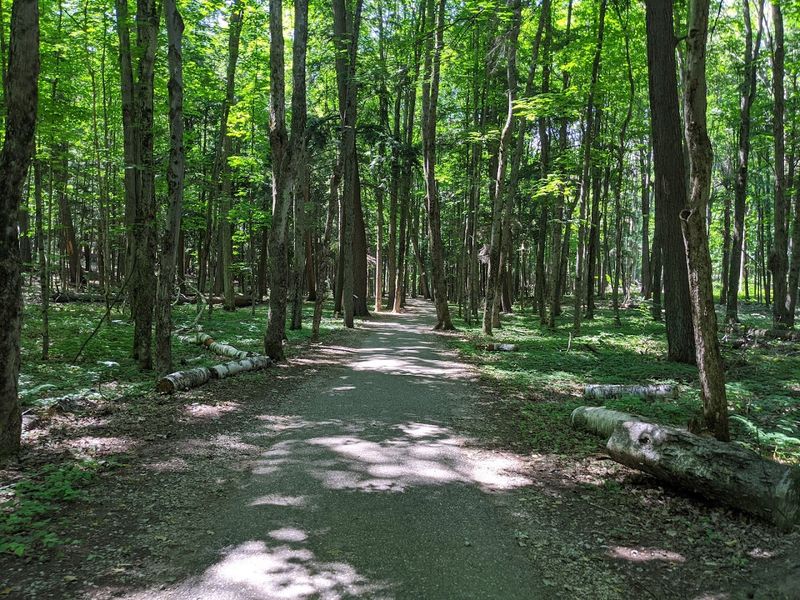 Beyond the Old Growth: Miles of Trails for Every Type of Hiker