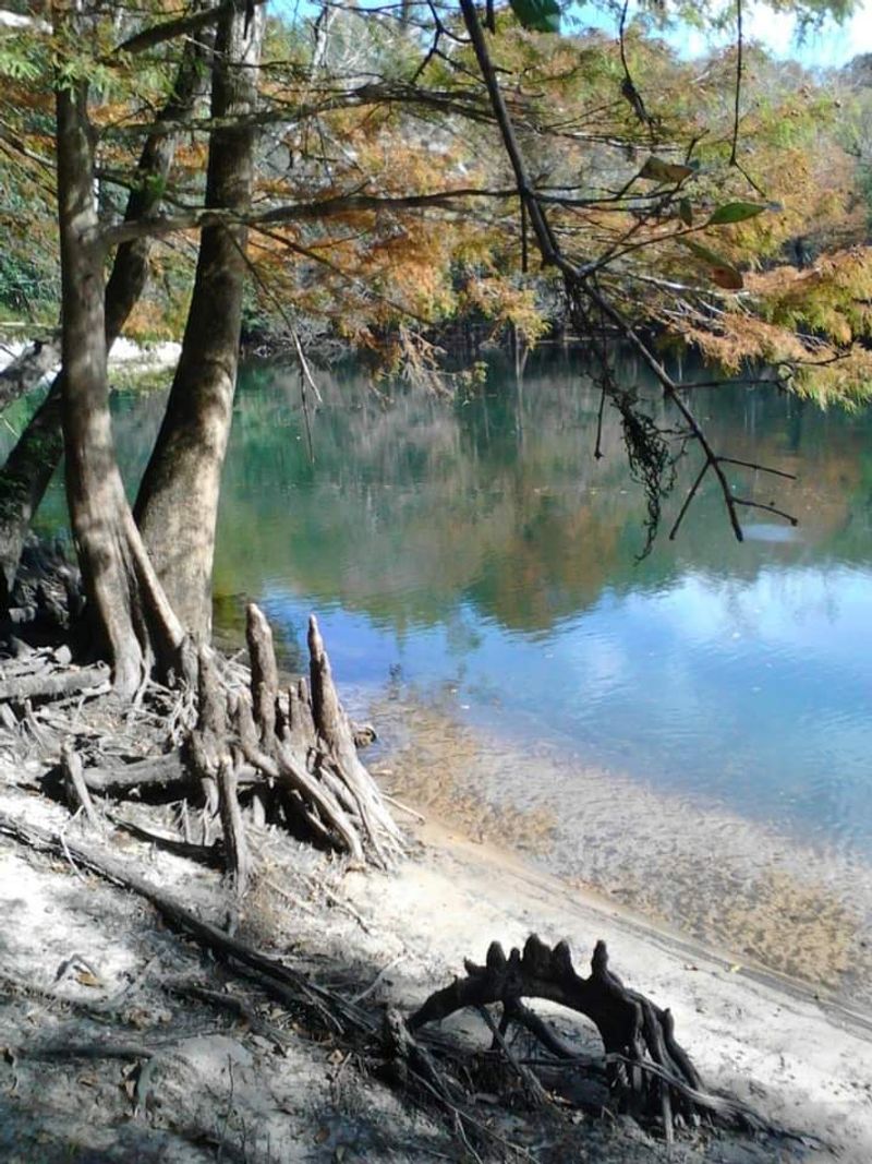 The Chipola River Connection