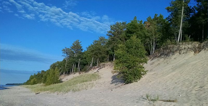 Wildlife and Nature Along the Trail and Shore