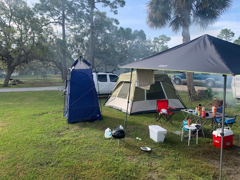 First Come, First Served: How the Check-In System Works