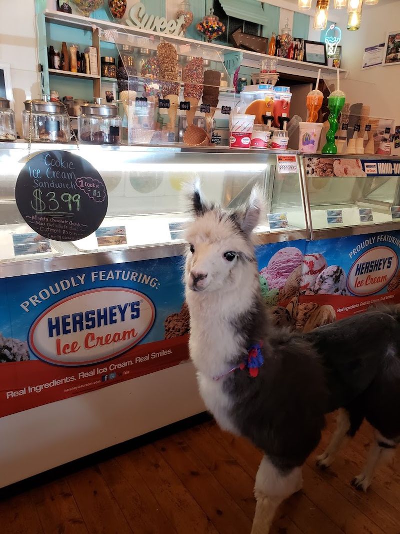 Ice Cream and Porch Time Done Right