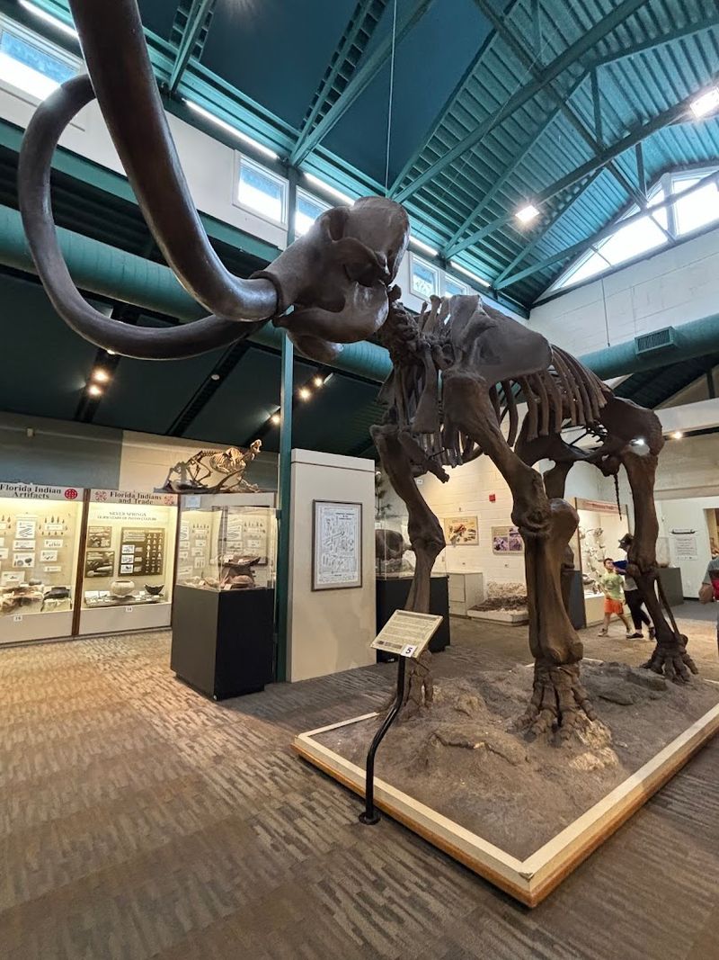 Silver River Museum & Environmental Education Center