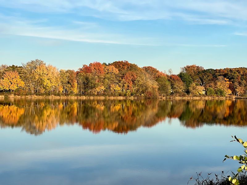 Planning Your Visit to Thompson Park