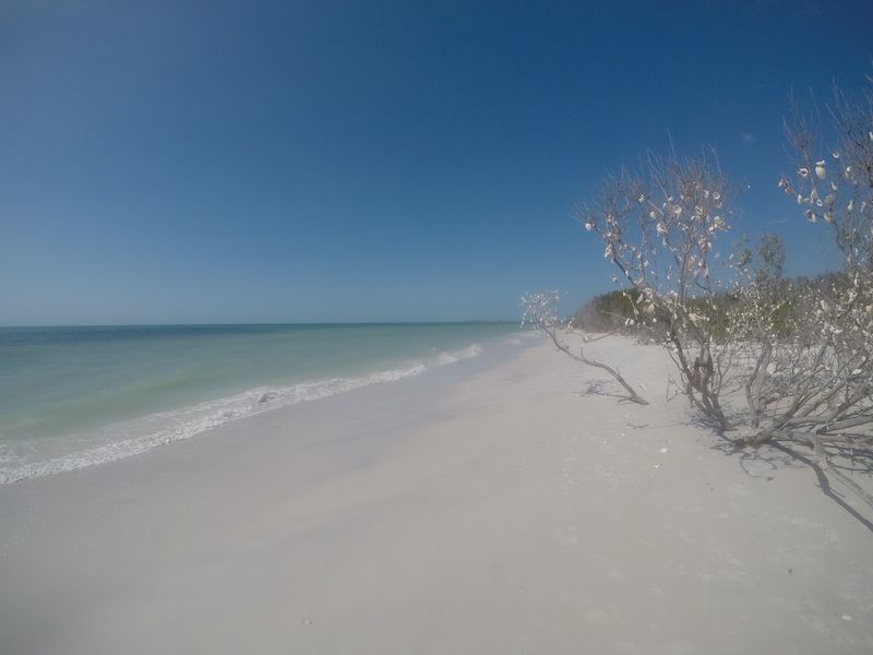 Caladesi Island State Park (Florida)
