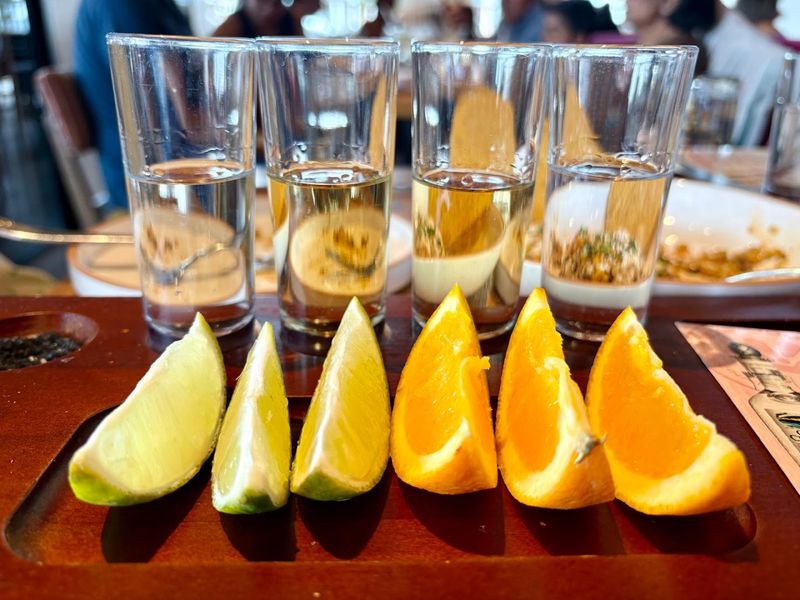 What the Agave World Record Actually Means