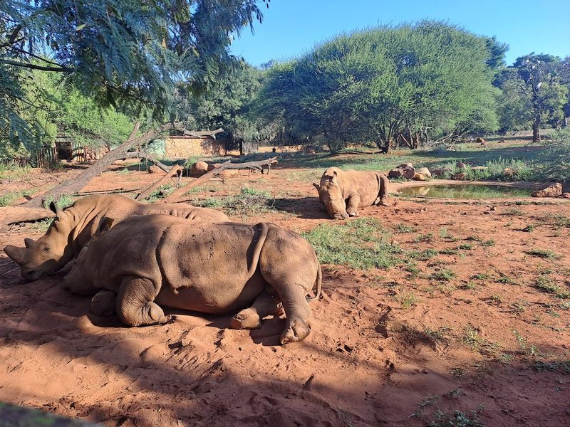 Pretoria National Zoological Garden - South Africa