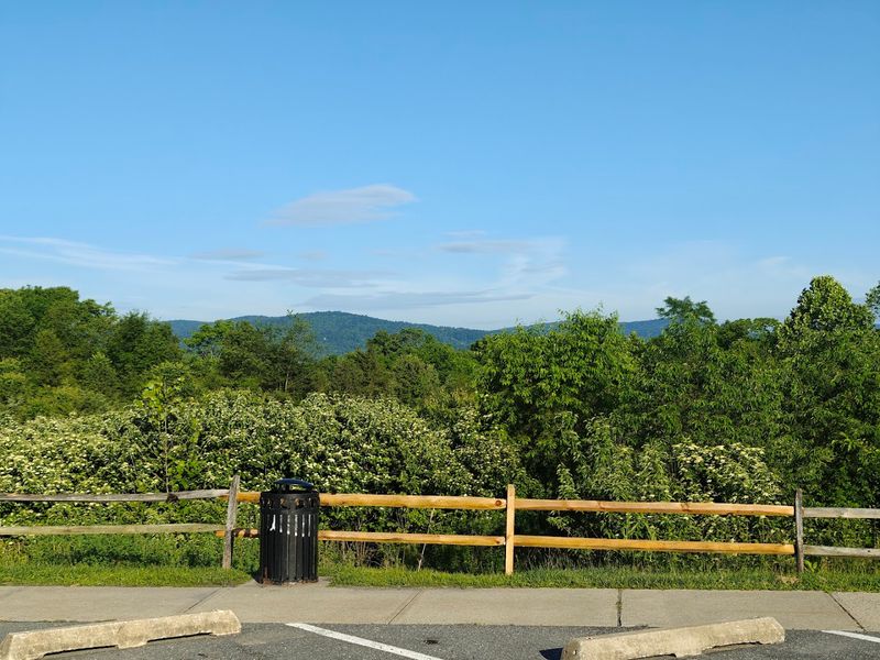 Scenic Drives Through Ancient Mountains