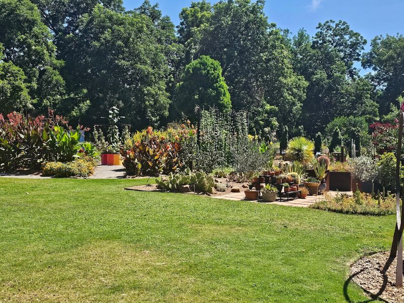 The Oklahoma Gardening Studio Garden