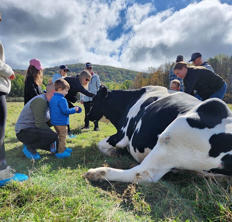 Farm Sanctuary — Watkins Glen, New York