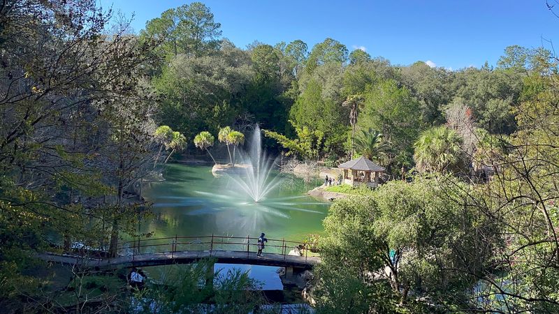 The Atmosphere and Vibe of the Whole Place