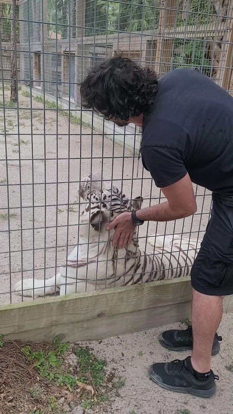 Operating Hours and Reservations: What You Need to Know Before You Go