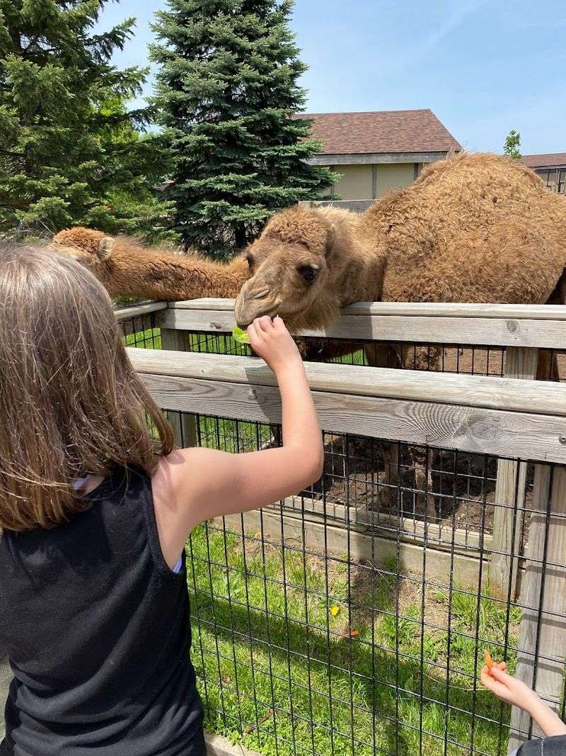 Picnic tables, snacks, and a smart lunch plan