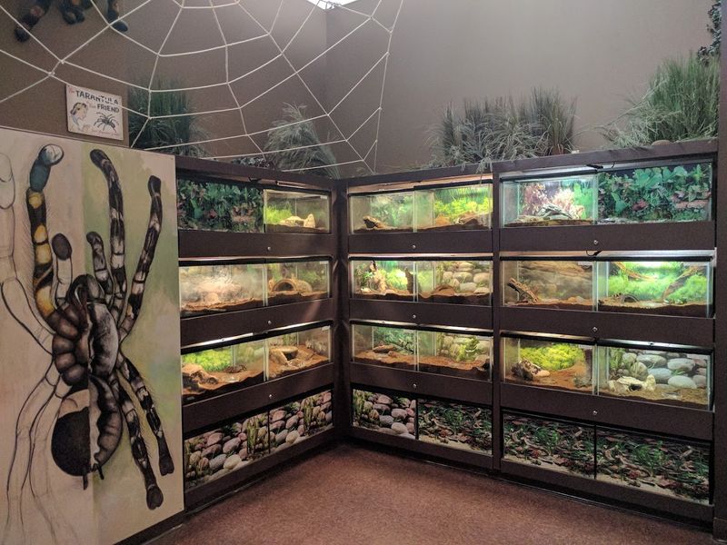 Planning Your Visit Around the Hours