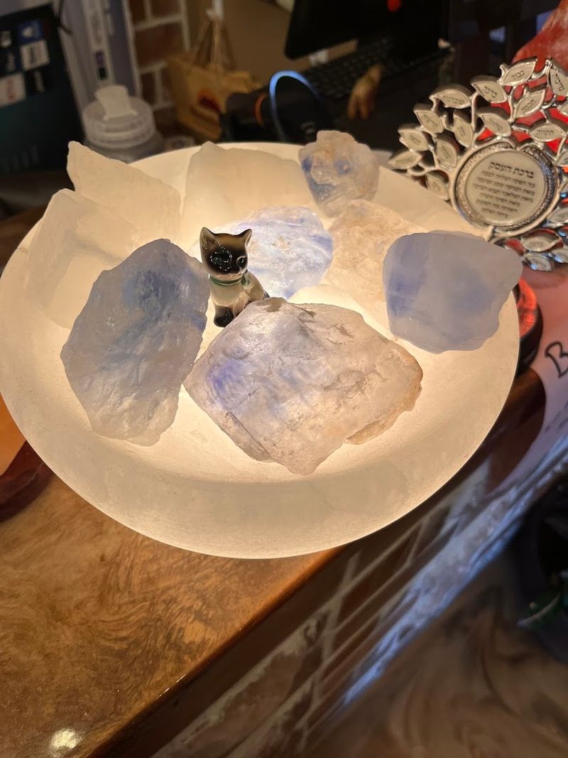 Practical Tips for Planning Your First Visit