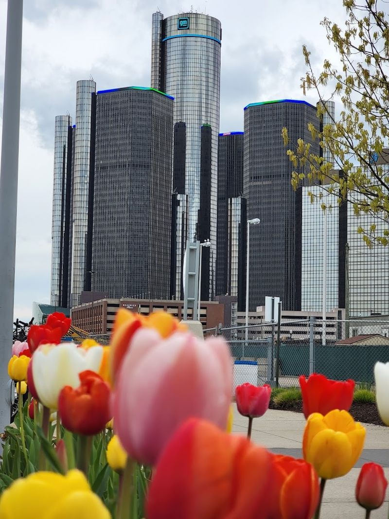 The Best Times to Visit and What to Expect Each Season