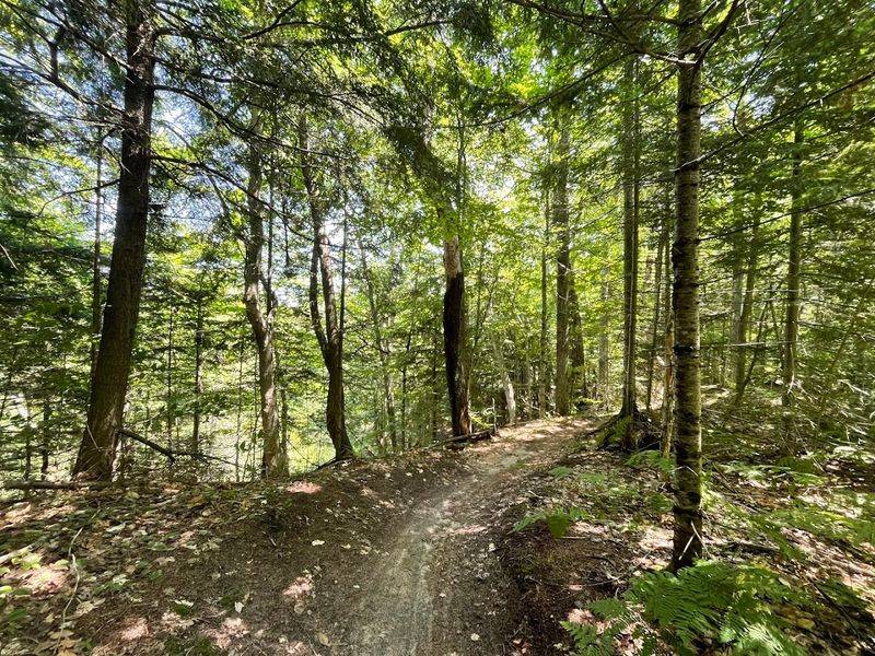 Built on local care and repeat visits