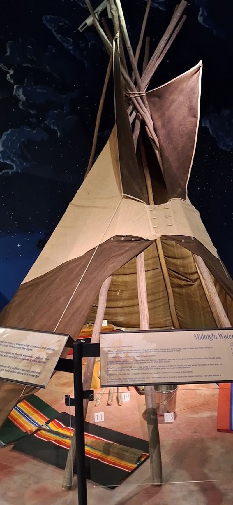 Interactive Exhibits That Make Learning Feel Like Play