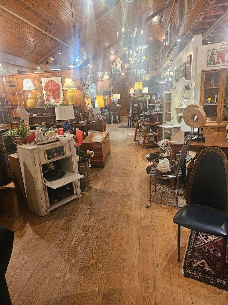 The Antique Shop Next Door Changes Everything