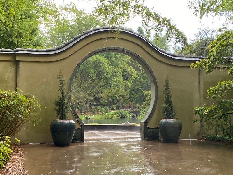 How the Zoo Has Prepared for a Project This Size