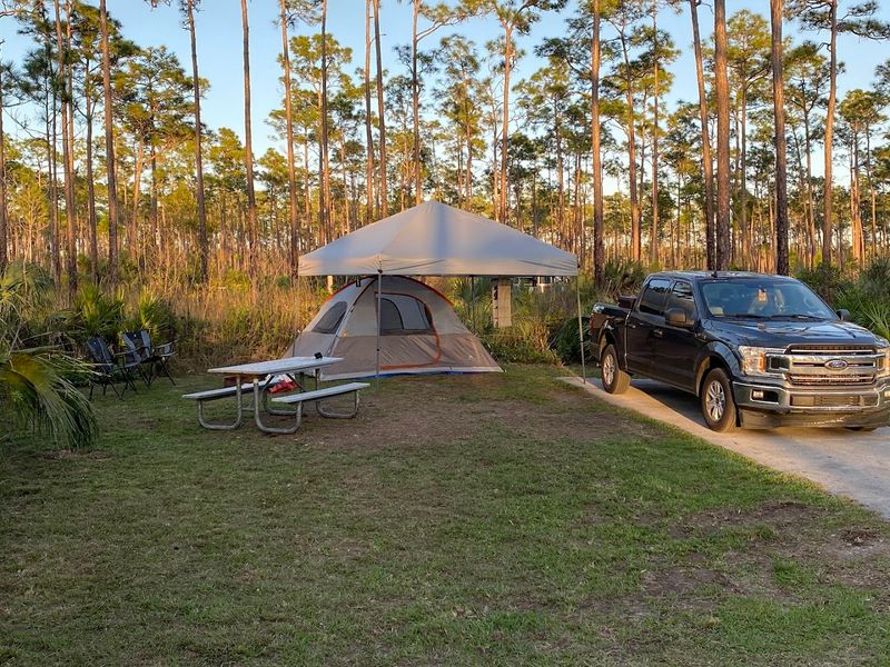 Everglades National Park – Long Pine Key Campground