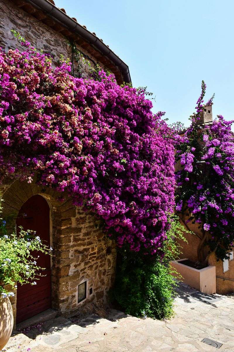 Bormes-les-Mimosas, Provence-Alpes-Côte d'Azur