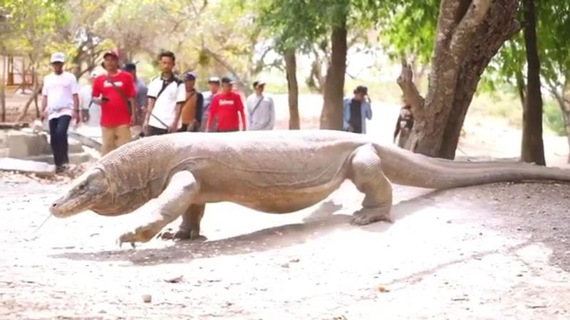 Indonesia — Tropical Islands of Wonder