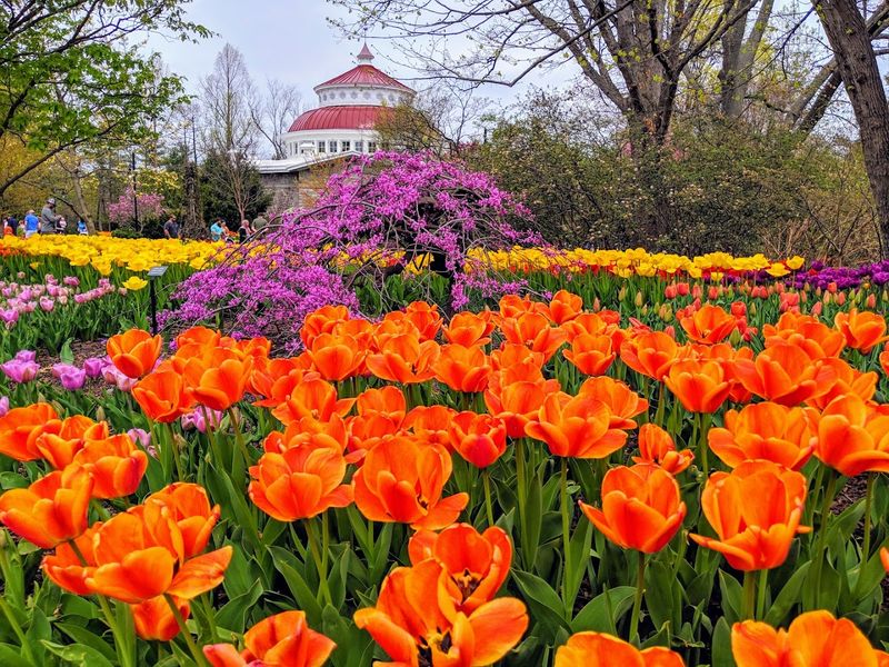 Cincinnati Zoo & Botanical Garden (Ohio)
