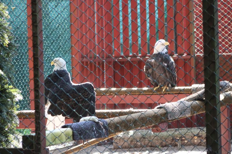 What Makes the Facility Stand Out