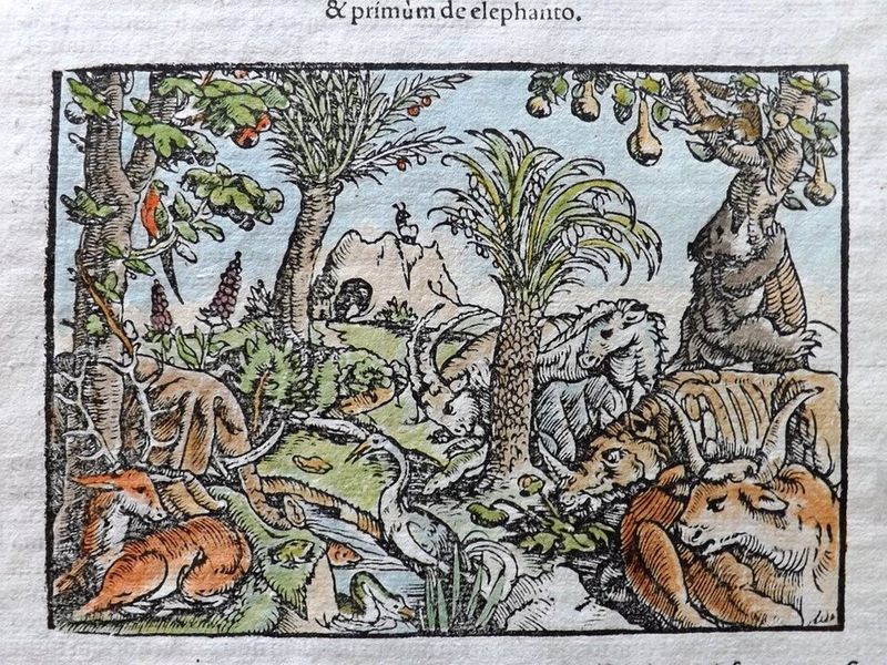 Earth Rests on Animals or Giants