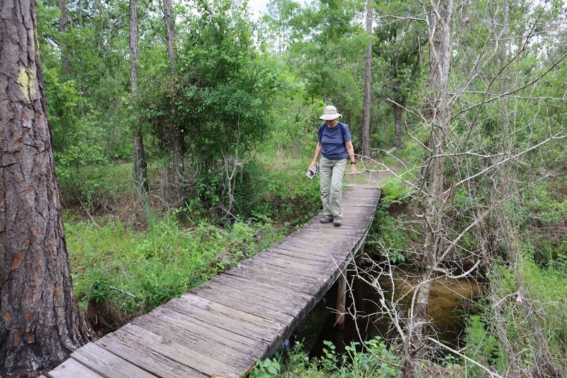 Wildlife and Nature Trails: Florida's Wild Side, Right Outside Your Door