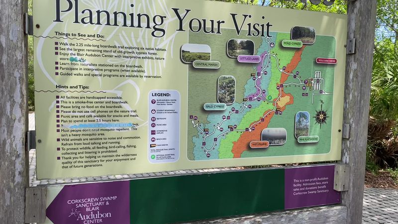 Tips for Getting the Most Out of Your Visit