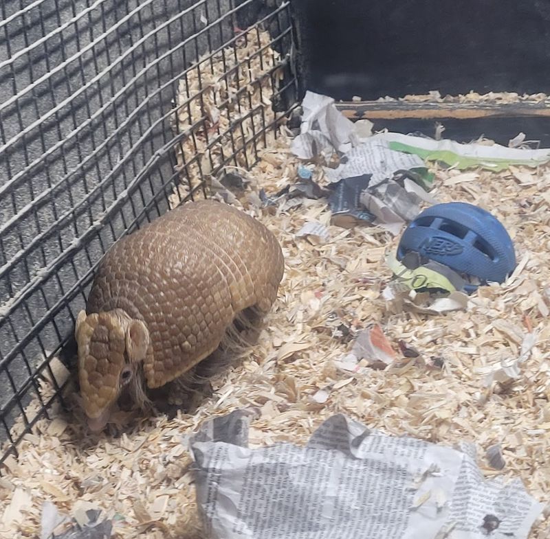 Why This Place Stays With You Long After You Leave