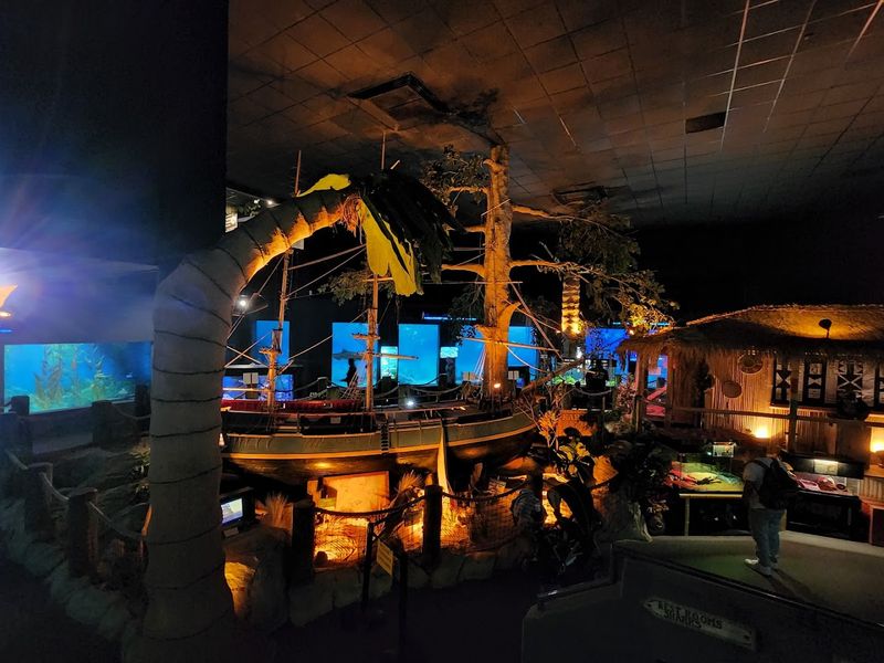 Best Times to Visit and How to Plan Around the Crowds