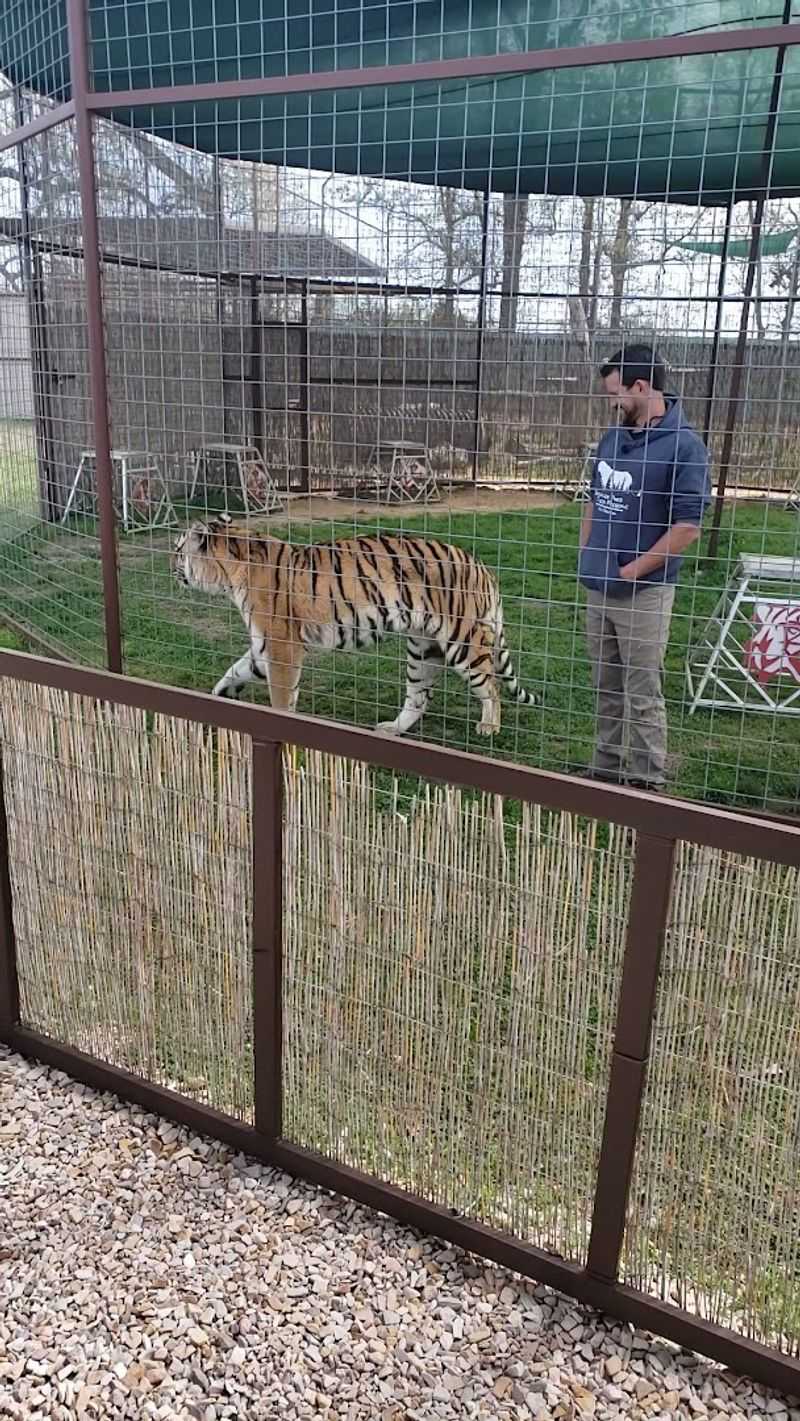 Private Tours and What to Expect