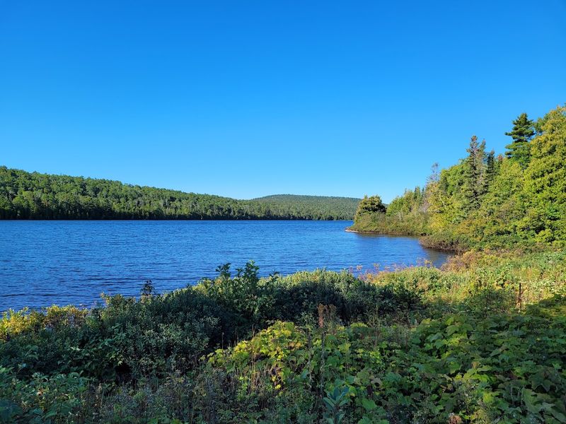 Fort Wilkins State Park: History and Wilderness in One Place