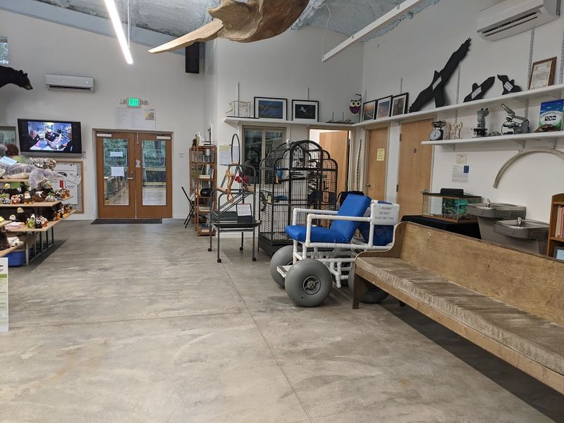 The Marine Mammal and Sea Turtle Stranding Program