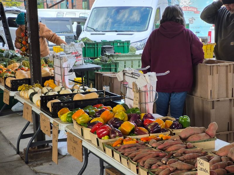 Price, value, and smart shopping