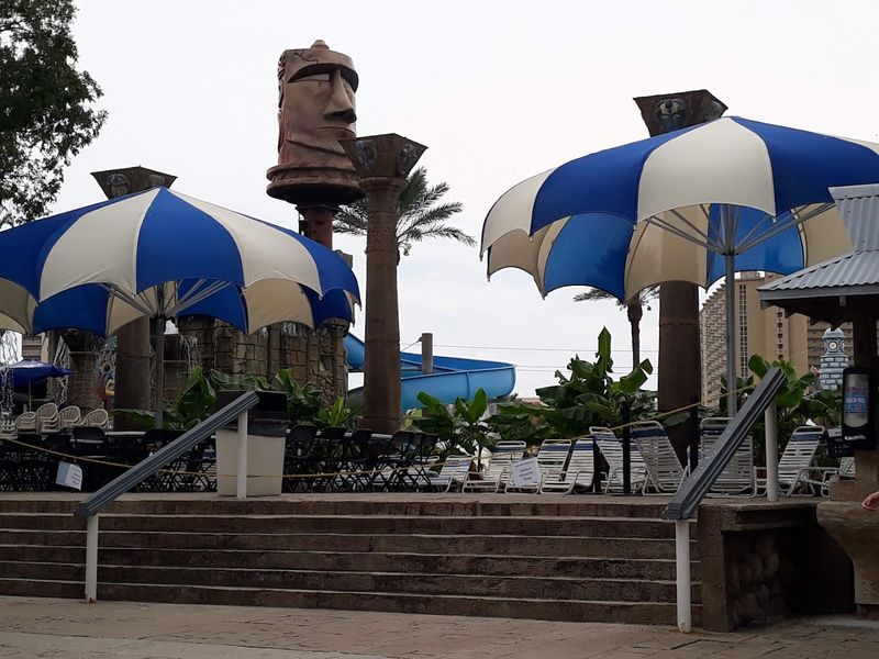 Food, Drinks, and What to Know Before You Order