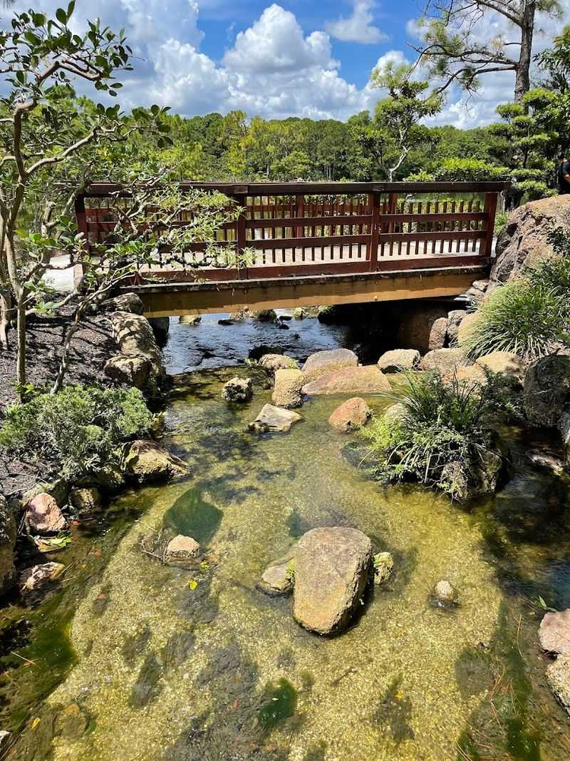 Best Times to Visit and Tips for Planning Your Trip