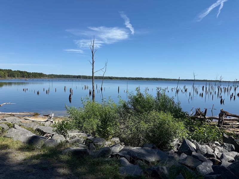 Manasquan Reservoir Perimeter Trail