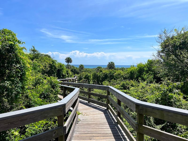 Canaveral National Seashore