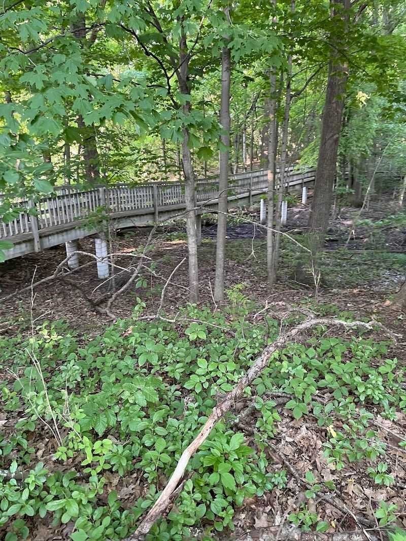 The Stations of the Cross Trail During Easter Season