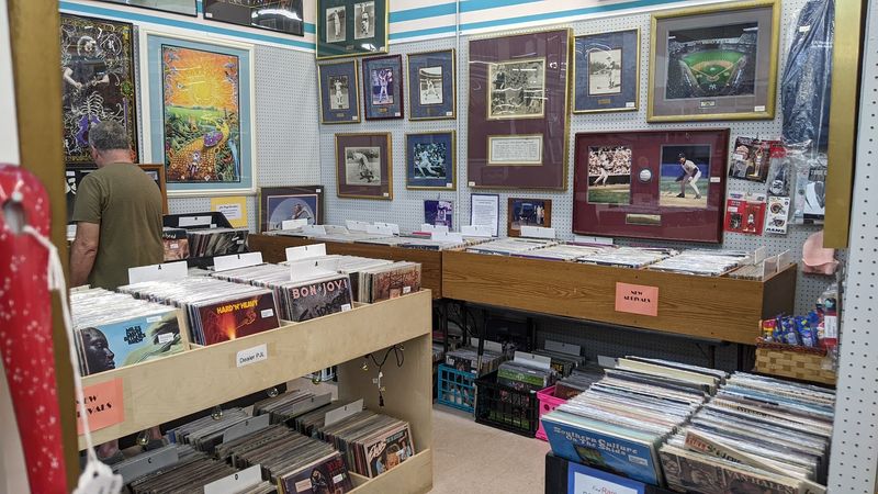 Vintage Guitars and Musical Instruments Hiding in Plain Sight