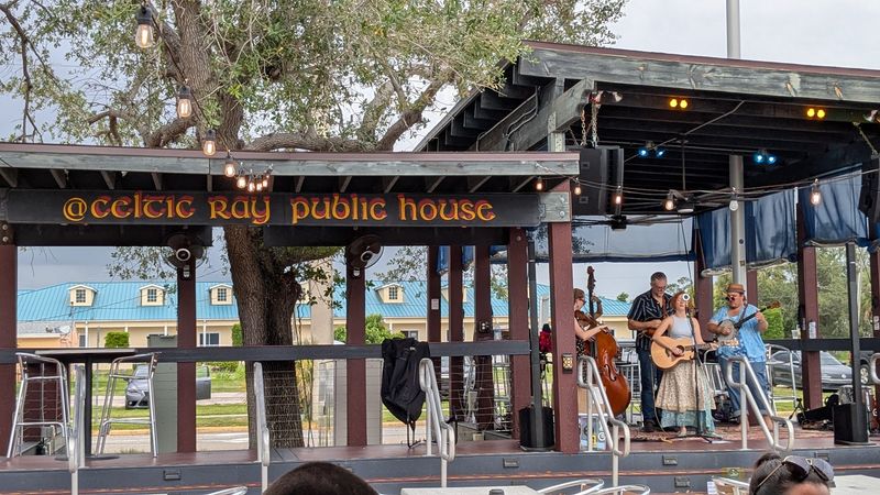 Live Music That Gets the Crowd Moving