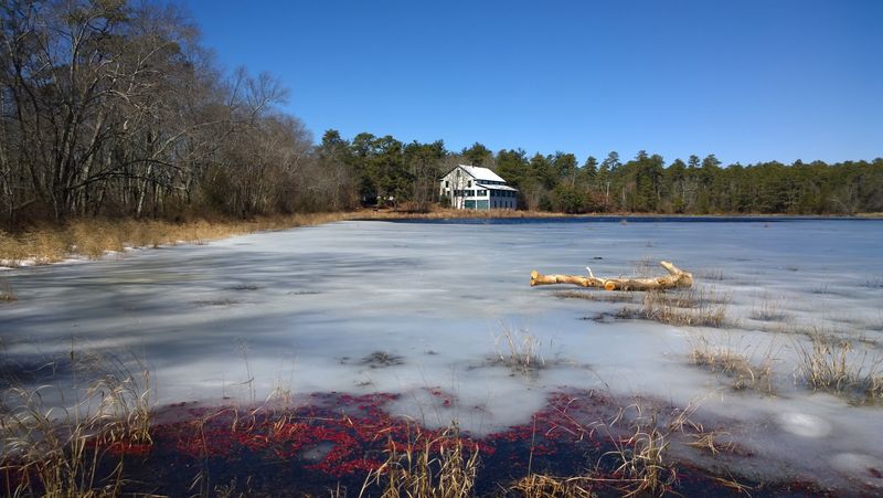 Best Times of Year to Make the Trip