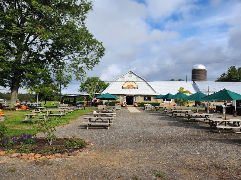 Planning Your Visit: Practical Tips for First-Timers