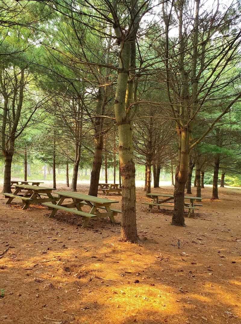 Picnic Areas and a Day Worth Planning Around